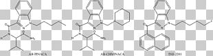 Singlet Oxygen Chemical Compound Superoxide Hydrogen Peroxide PNG