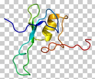 Guanine Cytosine Dna Methylation Dna Methylation Png, Clipart 