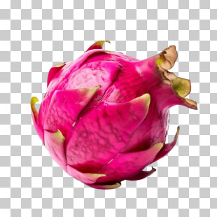 Dragon Fruit
 - Pink Dragon Fruit With Details Of Texture PNG