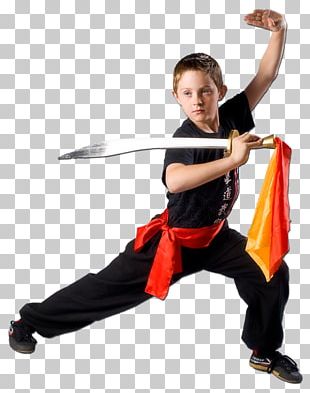 Kung Fu Chinese Martial Arts Drawing PNG, Clipart, Arm, Art, Blue ...