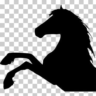 Horse Silhouette PNG, Clipart, Animals, Black And White, Colt, Draft ...