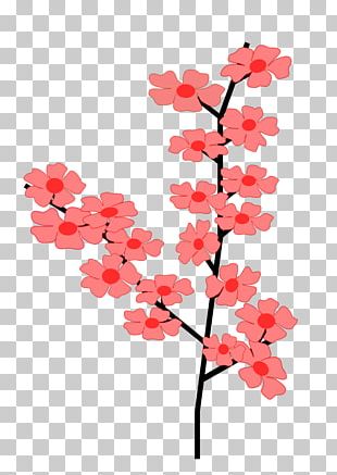 Tree Cherry Blossom Branch PNG, Clipart, Autumn Tree, Blossom, Branch
