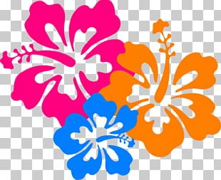 Hawaiian Flower PNG, Clipart, Computer Icons, Cut Flowers, Desktop ...