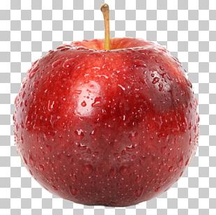 Apple Logo Healthy Diet PNG, Clipart, Apple, Apple Fruit, Apple Logo ...