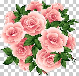 Garden Roses Flower PNG, Clipart, Annual Plant, Antique, Artificial ...