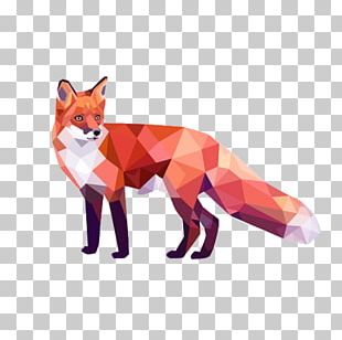 Red Fox Geometry Geometric Mean PNG