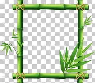 Frame Green Png, Clipart, Border, Border Frame, Certificate Border 