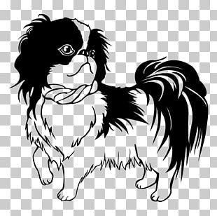 Shih Tzu Japanese Chin Havanese Dog Chinese Imperial Dog Puppy PNG