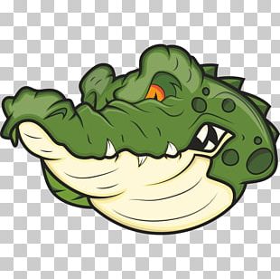 Alligator Crocodile Stock Photography PNG, Clipart, Alligator ...