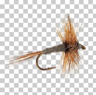 Fly Tying PNG Images, Fly Tying Clipart Free Download