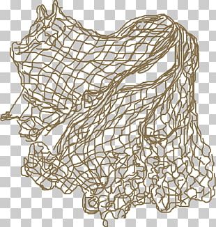 Cartoon Nets PNG Images, Cartoon Nets Clipart Free Download