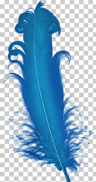 Feather Blue Plumage PNG