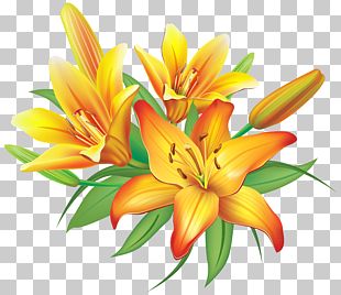 Flower Yellow PNG
