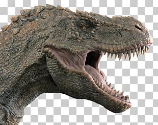 Tyrannosaurus Deinosuchus Crocodile Sarcosuchus Reptile PNG