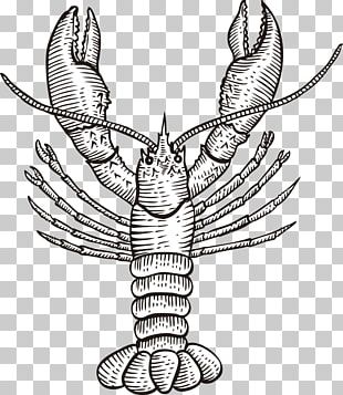 Port Isabel Gulf Quality Seafood Drawing Fish Market PNG
