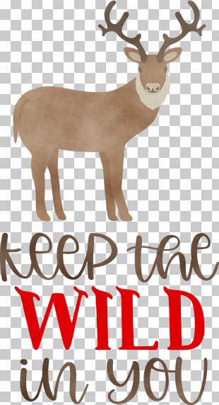 Reindeer PNG