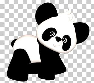 Bear Giant Panda Red Panda Furry Fandom PNG, Clipart, Animals, Arctic ...