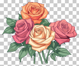 Rose Flower - Rose Bouquet In Orange And Pink Shades PNG
