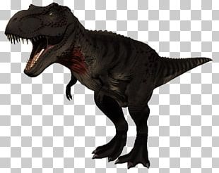 Spinosaurus Tyrannosaurus Dinosaur Velociraptor Jurassic Park PNG ...