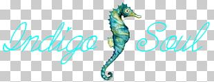 Seahorse Quotation Transparency And Translucency Hipster Pipefishes And Allies PNG