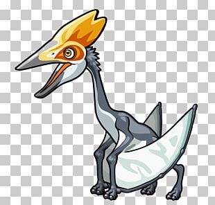 Pterodactyls Pteranodon Petrie Pterosaurs Rhamphorhynchus PNG, Clipart,  Beak, Bird, Cartoon, Dinosaur, Duck Free PNG Download