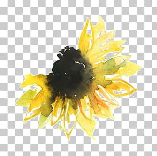 Free Free 306 Watercolor Sunflower Clipart Free SVG PNG EPS DXF File