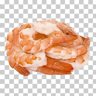 Giant Tiger Prawn Whiteleg Shrimp Caridea Seafood PNG, Clipart, Anchovy ...