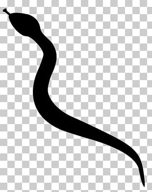 Snake Silhouette PNG, Clipart, Anaconda, Animals, Black And White ...