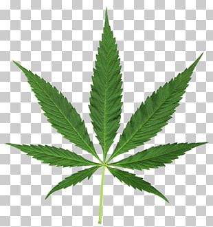 Cannabis Leaf Hashish PNG, Clipart, Black And White, Cannabis, Cannabis ...