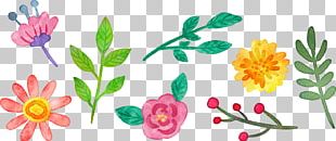 Floral Design Flower Watercolor Painting PNG