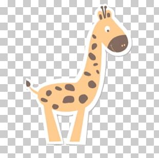 Baby Animals Png Images Baby Animals Clipart Free Download