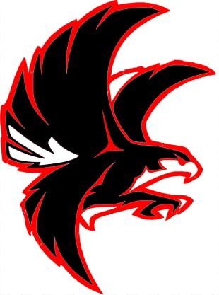 Atlanta Falcons Logo PNG Transparent Images Download - PNG Packs