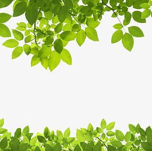 Leaves Border PNG, Clipart, Border Clipart, Green, Leaves Clipart ...