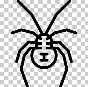 Spider Web Southern Black Widow Drawing PNG, Clipart, Angle, Area ...