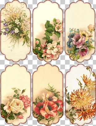 Pressed Flower Craft Floral Design Vintage Clothing Paper PNG