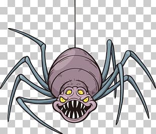 Spider Cartoon PNG, Clipart, Animation, Arachnid, Arthropod, Black And ...