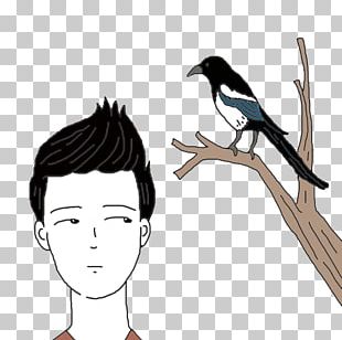 Eurasian Magpie Dream Dictionary Dream Interpretation PNG
