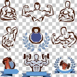 Bodybuilding Computer Icons Physical Fitness Fitness Centre PNG ...