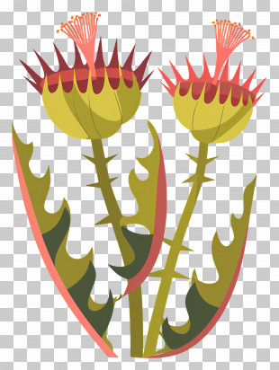 Venus Flytrap - Spiky Thistle Plant PNG