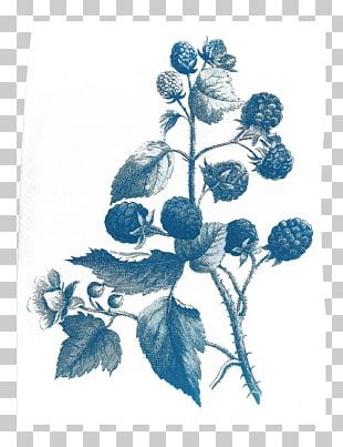 Before The First Kiss Cyanotype Drawing Paper PNG