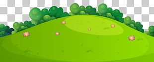Green Leaf Design PNG