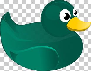 Rubber Duck PNG
