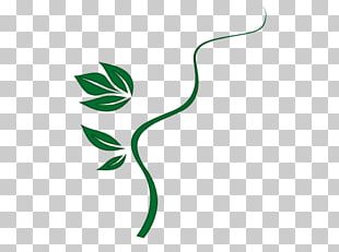 Leaf Petal Plant Stem Drawing Plant Structure PNG, Clipart, Biology ...