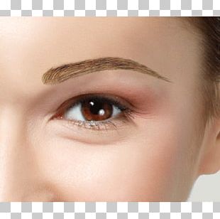 Eyelash Extensions Eyebrow Hair Wig PNG