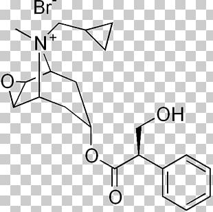 Hyoscine Butylscopolamine Pharmaceutical Drug Henna Belladonna PNG