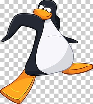 Club Penguin King Penguin PNG, Clipart, Adobe Flash, Animals, Artwork,  Beak, Bird Free PNG Download