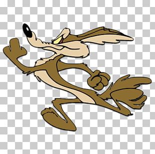 Wile E. Coyote And The Road Runner Looney Tunes Cartoon PNG, Clipart ...