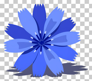 Blue Daisy Flower Clipart PNG