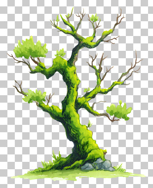 Moss On Tree - Mossy Tree With Branches PNG