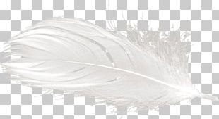 White Feather Black And White PNG, Clipart, Animals, Background Black ...